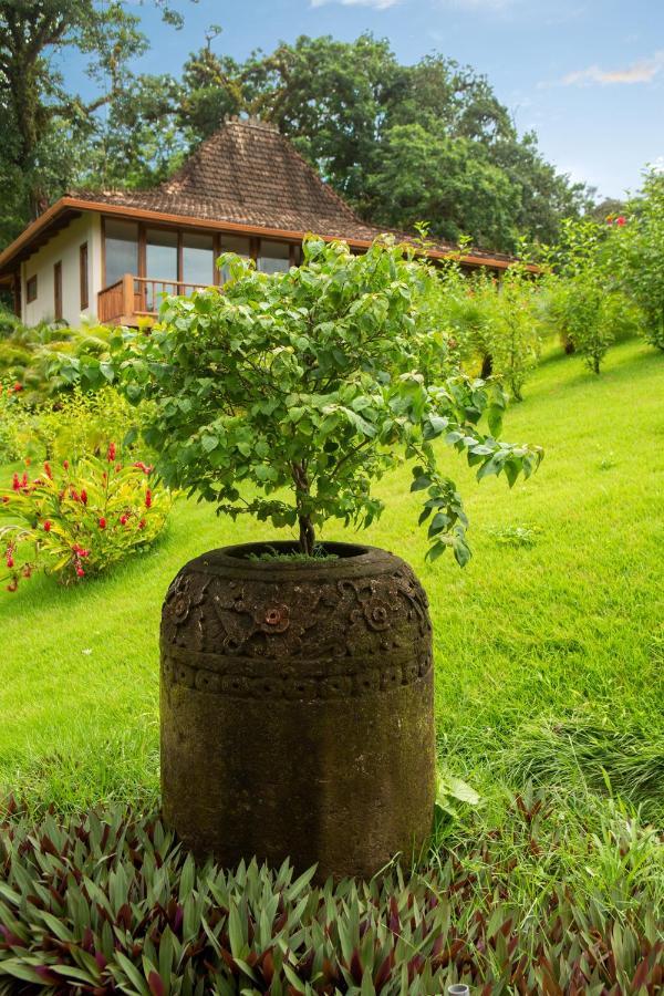 La Coralina Island House Hotell Bocas del Toro Eksteriør bilde