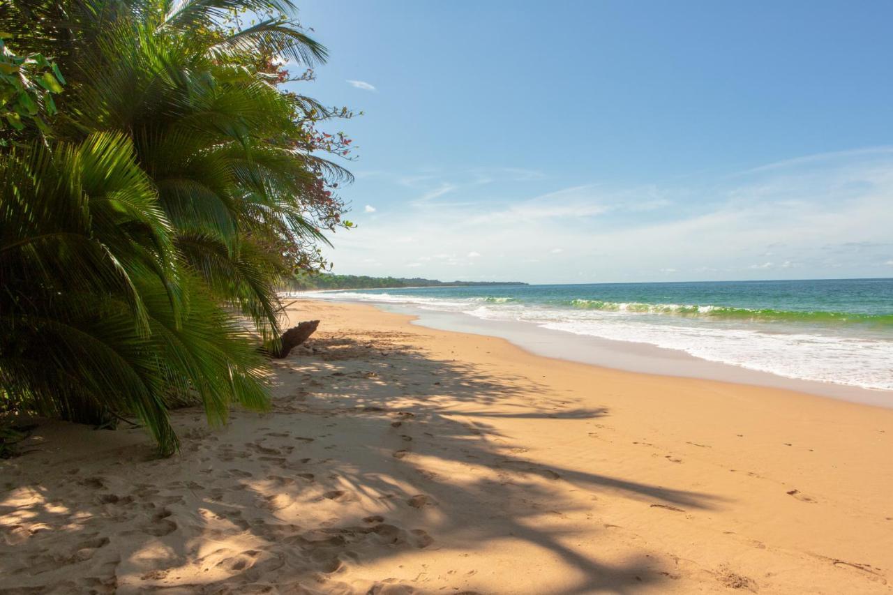 La Coralina Island House Hotell Bocas del Toro Eksteriør bilde