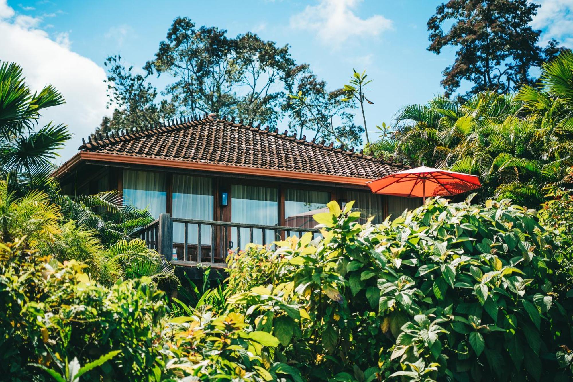 La Coralina Island House Hotell Bocas del Toro Eksteriør bilde